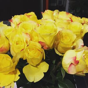 Image post by @angelarye on Instagram