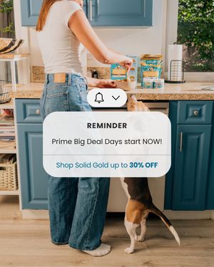 Image post by @solidgoldpets on Instagram