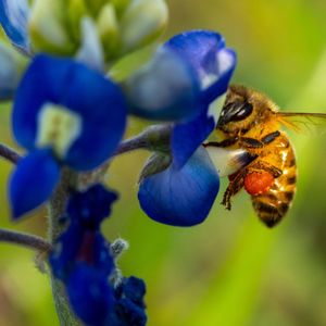 Image post by @txextension on Instagram