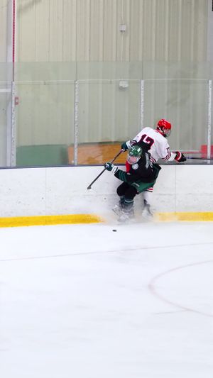 Video post by @fschockey on TikTok