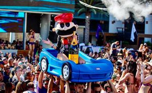 Image post by @marqueelv on Instagram