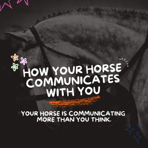 Image post by @theplaidhorsemag on Instagram