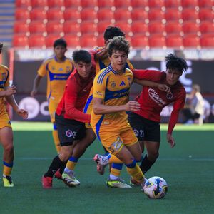 Image post by @clubtigresfb on Instagram