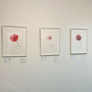 Image post by @kunstzurichsud on Instagram