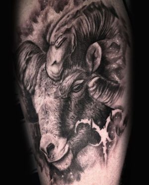 Image post by @tauntontattooco on Instagram