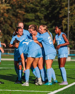 Image post by @nutimberwolves on Instagram