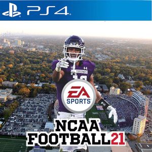 Image post by @barstoolcats on Instagram