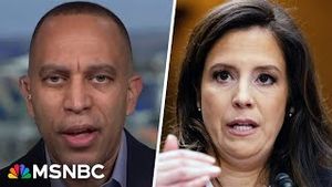 Video post by @msnbc on YouTube