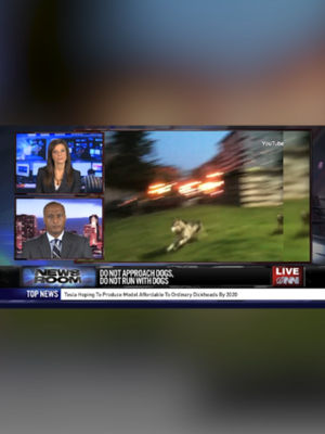 Video post by @theonion on TikTok