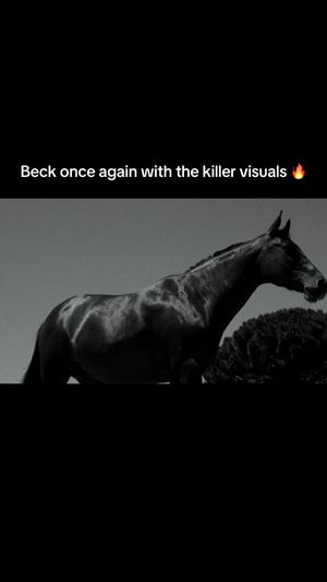 Video post by @beckvault on TikTok