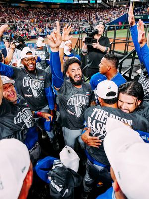 Image post by @tigers on Instagram