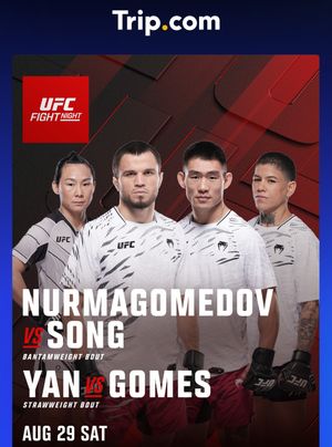 Image post by @ufc.japan on Instagram