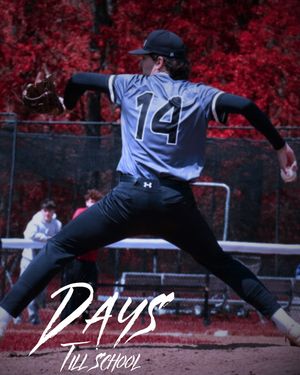 Image post by @larocheredhawks on Instagram
