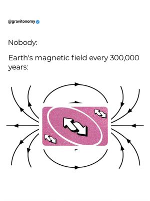 Image post by @gravitonomy on Instagram