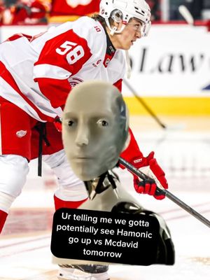 Image post by @redwingscoverage on Instagram