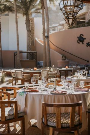 Image post by @wapedregal on Instagram