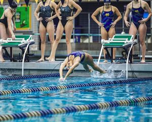 Image post by @ndswimdive on Instagram