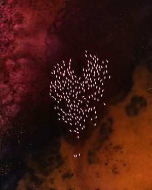Image post by @droneartgallery on Instagram
