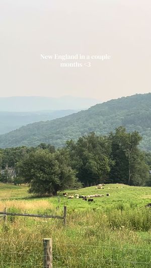 Video post by @filmbychloeg on TikTok