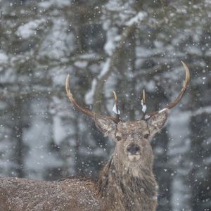 Image post by @rspb on Instagram