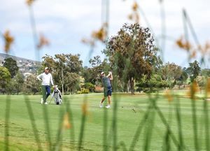 Image post by @gatorsmgolf on Instagram