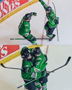Image post by @fl_everblades on Instagram
