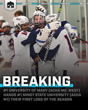 Image post by @hockeyhousepod on Instagram