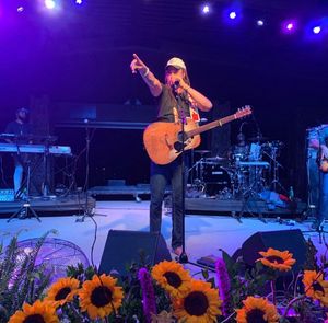 Image post by @activistartists on Instagram