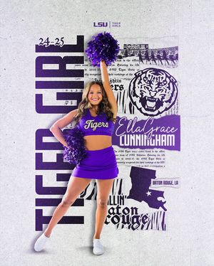 Image post by @lsutigergirls on Instagram