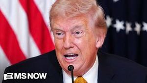 Video post by @msnbc on YouTube