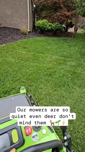 Video post by @greenworkscommercial on Facebook