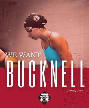 Image post by @davidsonswimdive on Instagram