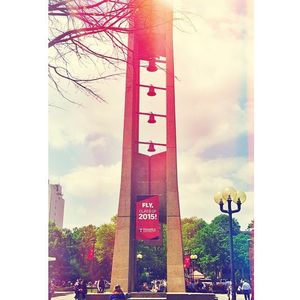 Image post by @templealumni on Instagram