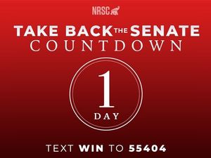 Image post by @nrsc on Instagram