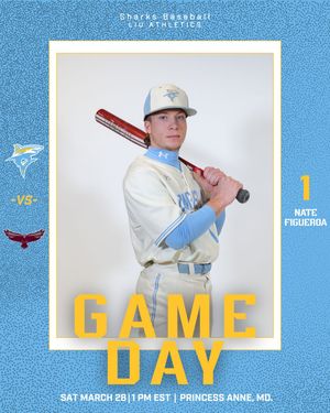 Image post by @liubaseball on Instagram