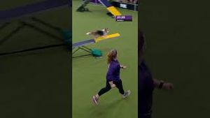 Video post by @foxsports on YouTube