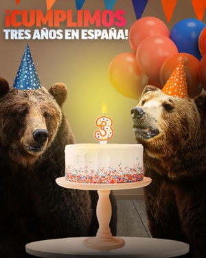 Image post by @bears_es on Instagram