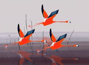 Image post by @annalysejacobs on Instagram
