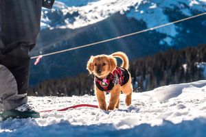 Image post by @bouldermagazine on Instagram