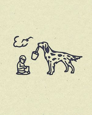 Image post by @mccabedesign on Instagram