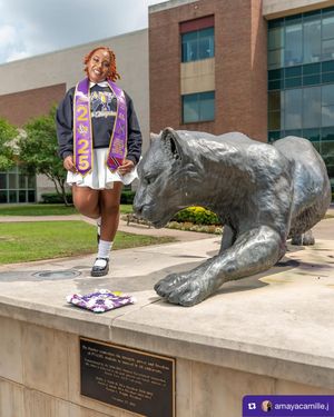 Image post by @pvamu on Instagram
