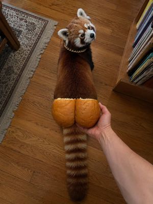 Image post by @redpandavx on Instagram