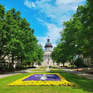 Image post by @southcarolina on Instagram