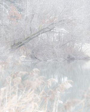 Image post by @cristan.nature.photography on Instagram