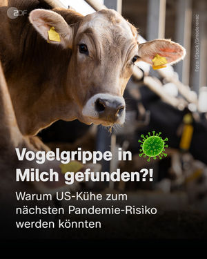 Image post by @zdf.de on Instagram
