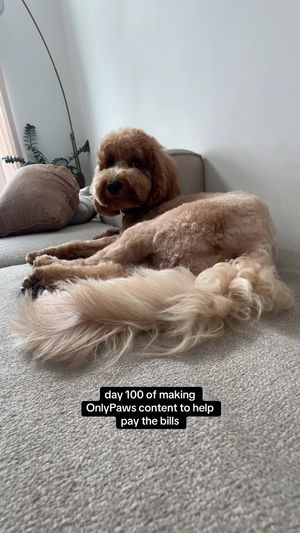 Video post by @tedflixnchill on TikTok