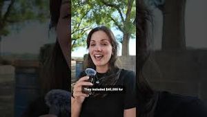 Video post by @pennlive on YouTube