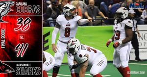 Image post by @jaxsharks on Twitter/X
