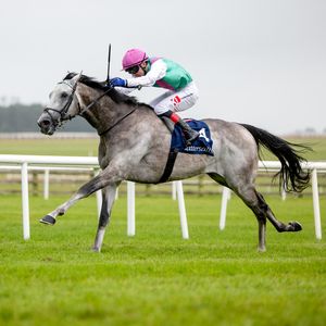 Image post by @juddmonte on Instagram
