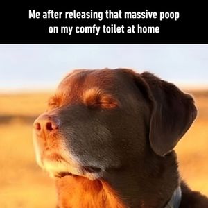 Image post by @9gag on Instagram